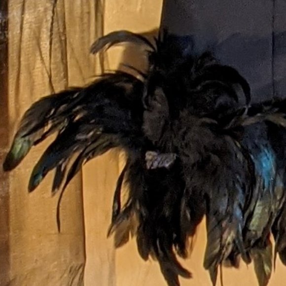 Nicole by Nicole Miller Dress_X-Large w/Feathers - Picture 3 of 7